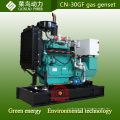 4 Zylinder 30kw Erdgas Biogas-Generator-Set